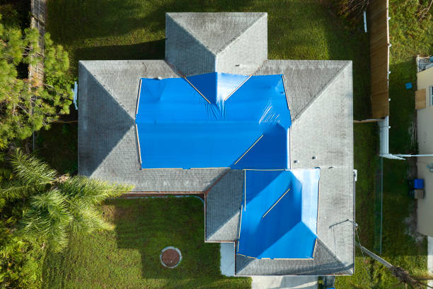 Best Roof Maintenance and Cleaning  in New London, TX
